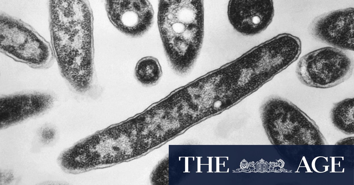 Outbreak of Legionnaires’ disease confirmed in southeast Melbourne