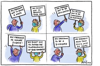 Illustration by Cathy Wilcox