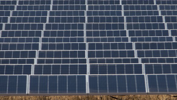 The Queensland government accepted all recommendations from the Auditor-General. 