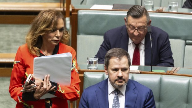 Early Childhood Education Minister Dr Anne Aly and Minister for Industry Ed Husic during question time on Thursday.