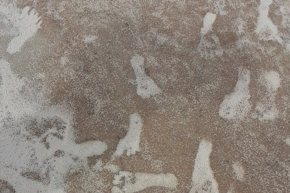 Human footprints infilled with white gypsum sand at the White Sands National Park in New Mexico.