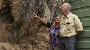 The fire came within metres of the main house on Leanne King and Phil Sheppard's property in the Hunter Valley. 