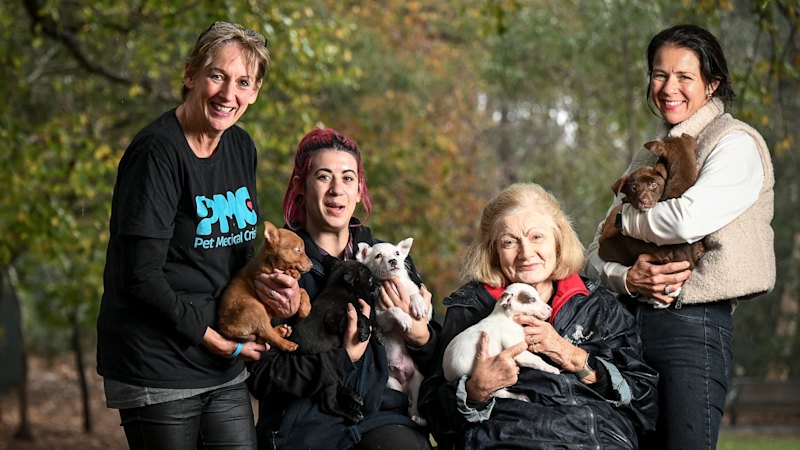 Tears, cheers and smears: Emotional council vote over animal shelter
