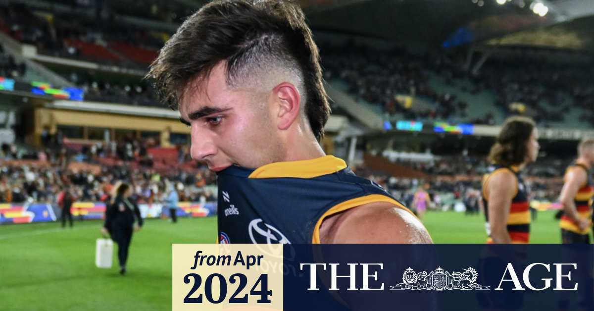 AFL 2024: Adelaide Crows’ Josh Rachele wasn’t brave enough against ...
