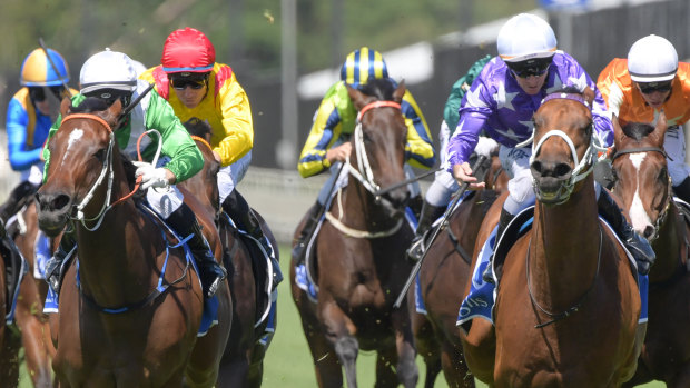 Party time: Fiesta, right, gets the better of  Estijaab  in the Inglis Sprint.