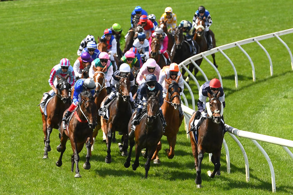 Punters placed bets on the 2020 Melbourne Cup from afar.
