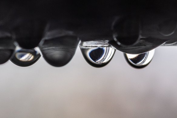 Sam’s original take on the week’s downpour, shot with a macro lens.