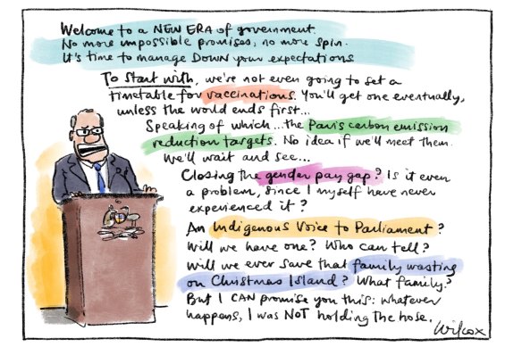 Illustration: Cathy Wilcox