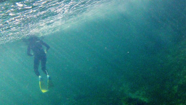 There were 49 deaths in recreational snorkelling workplaces in Queensland from 2000-2011.