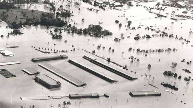 The fruit and vegetable markets on Sherwood Road Rocklea submerged by the floods. This picture taken on January 30, 1974.