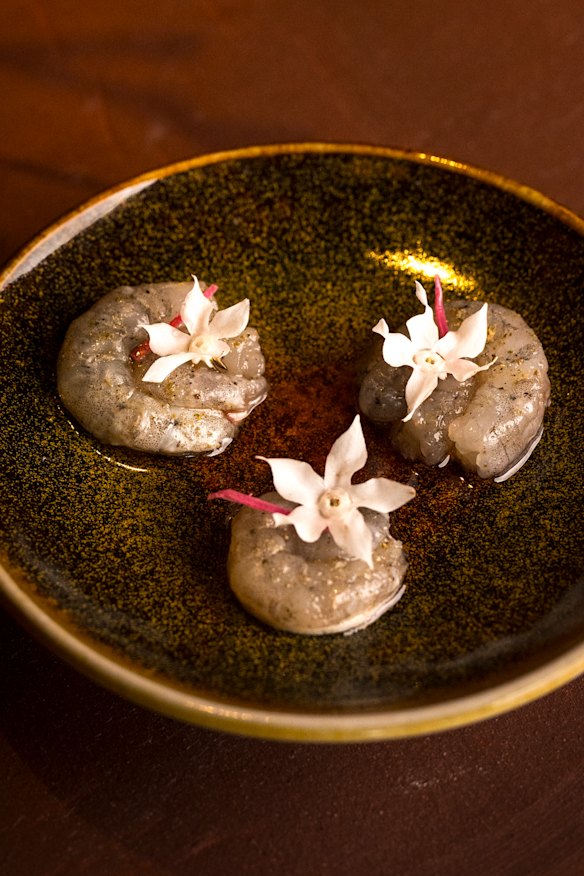 School prawns are served raw and topped with fronds of floral torch ginger.