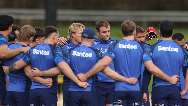 Wallabies hoping Lions lessons are heeded in Ireland showdown (australia) — SMH