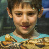 Reptiles feel the love at the Botanic Gardens' latest scaly exhibition