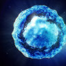 Mesoblast shares suffered another tumble on Tuesday on news that Novartis was walking away from the deal. 