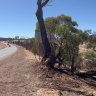 Three brothers, including nine-year-old, among four killed in horror Wheatbelt crash