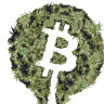 Cryptocurrency and pot – a heady combination. 