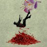 Saffron has emerged as a potential anti-depressant treatment. But how strong is the evidence?