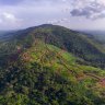 The Simandou mountains in Guinea contain high-grade iron ore.