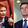 AFR COMPOSITE - Angus Taylor and Pauline Hanson. Photo: Alex Ellinghausen