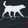 The alarming graph that shows why dog owners are being put on notice.