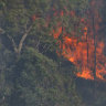 The blaze in the Otways near Gellibrand in south-west Victoria on Saturday.