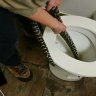 'Look before you leak': Snake in toilet bites Canberra woman's bottom