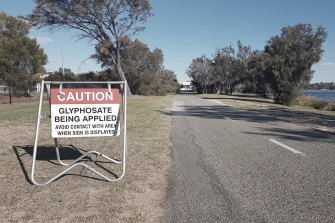 A roadside in WA.