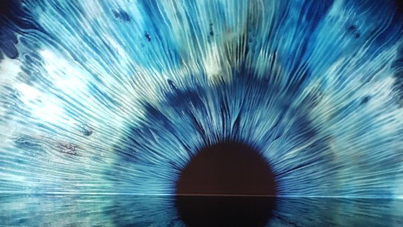 'Iris', an installation in Treasury Gardens for White Night 2019.