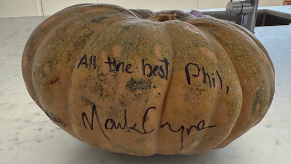 The pumpkin delivered by Mark Coyne to Phil Gould.