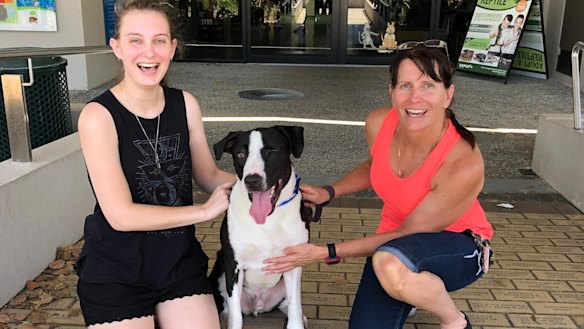 Dog shot in the head finds new family 400 days later