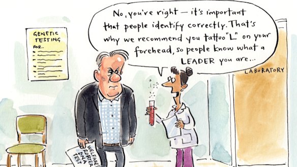 Illustration: Cathy Wilcox