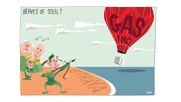 Various groups including unions, the Greens and One Nation are pushing for a 25 per cent tax on gas exports.