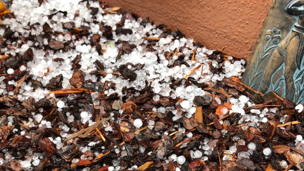 Hail in Tuggeranong on Wednesday afternoon.