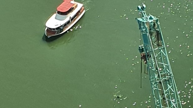 The swimmer close to Queens Wharf (bottom centre) was approached by a CityHopper.