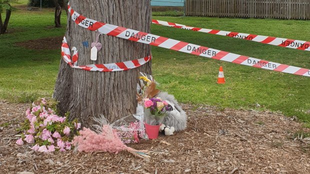 Flowers have been left after the death of a baby following a magpie attack at Holland Park.