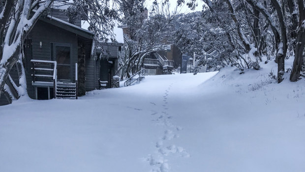 The view at Mount Buller on Monday morning.