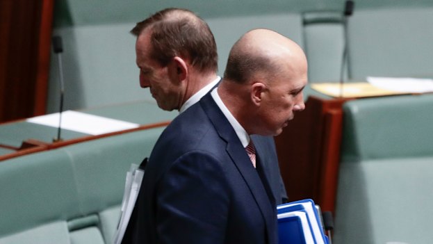 Liberal MPs believe former prime minister Tony Abbott joined forces with Peter Dutton to end Malcolm Turnbull's prime ministership. 