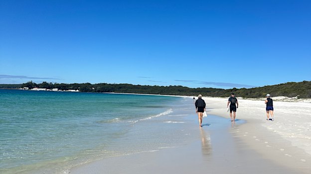Nick Timmings and friends at Jervis Bay.