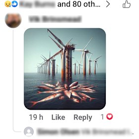 An example of one of the anti-windfarm social media posts being shared in Wollongong.