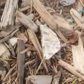Compound material found in tanbark near the new playground at Donald McLean Reserve.