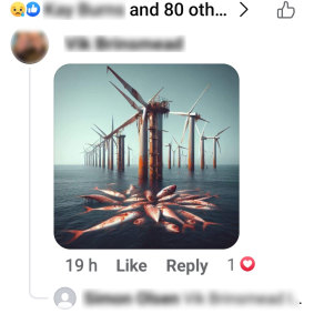 An example of one of the anti-windfarm social media posts being shared in Wollongong.