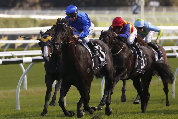 Young bull: Kementari takes out the Randwick Guineas two years ago.