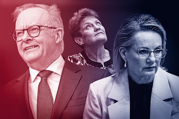 Labor and Anthony Albanese are riding high, while One Nation and Pauline Hanson continue to be a thorn in the side for Sussan Ley’s Coalition.
