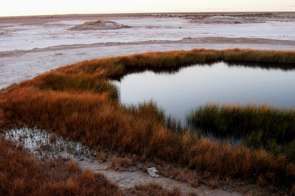 A mound spring near the shore of Lake Eyre in South Australia.