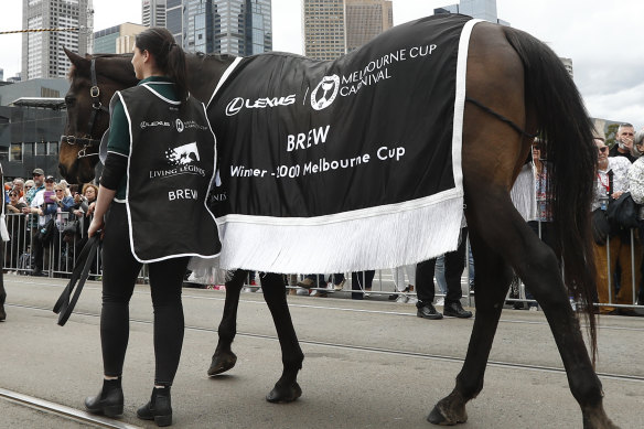 Former Melbourne Cup winning horse Brew takes part in the Melbourne Cup parade in 2022.
