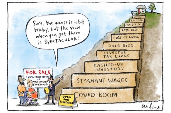 Illustration: Cathy Wilcox