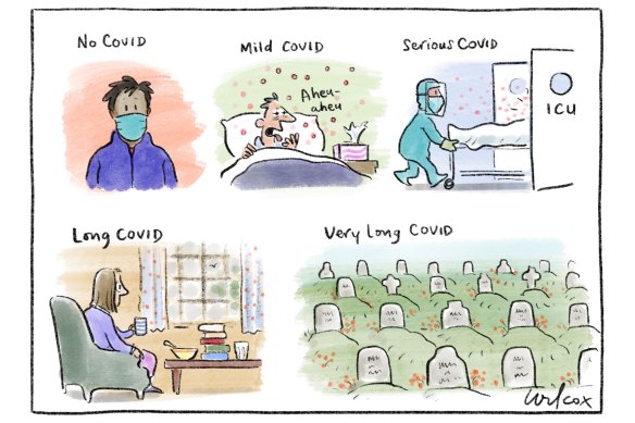 Illustration: Cathy Wilcox