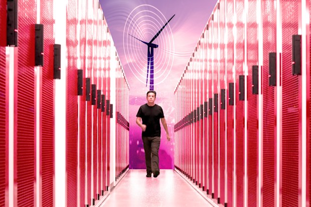 Investors Crowd Into Small AI Companies on the Australian Stock Market