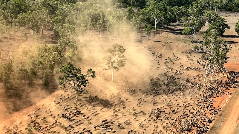 NT station famed for big rains in new hands after four decades