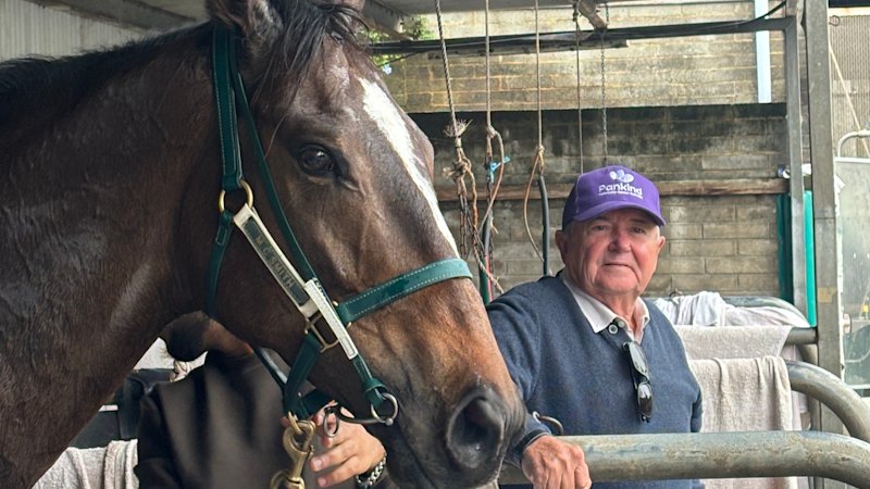 Headwall returns for Concorde Stakes aiming for renewed Everest slot